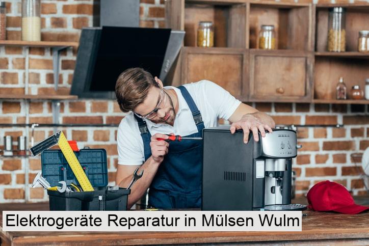 Elektrogeräte Reparatur in Mülsen Wulm